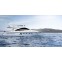 Motoryacht Sealine T50